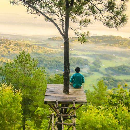 Alone Boy DP in Nature