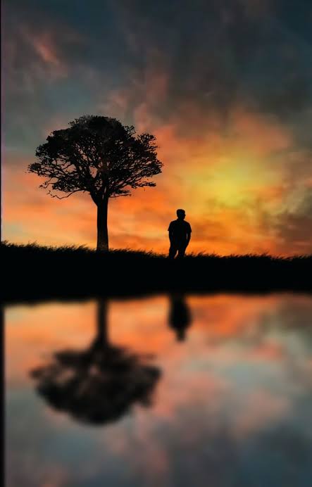 Alone Boy Sunset Wallpaper