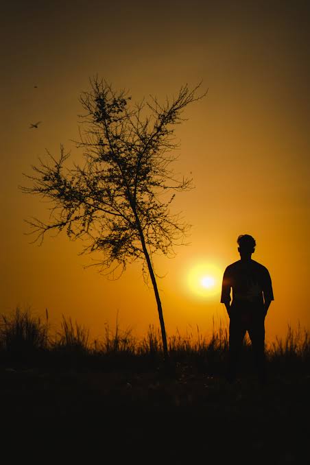 Sad Alone Boy Sunset Picture